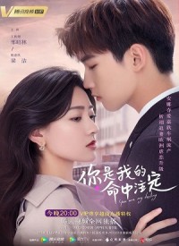 Định Mệnh Anh Yêu Em (bản trung) (You Are My Destiny) [2020]