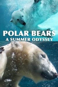 Gấu Bắc Cực (Polar Bears: A Summer Odyssey) [2012]